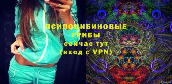 хмурый Заводоуковск