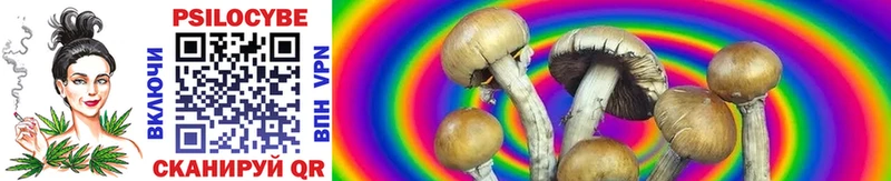 Купить закладки  Новоаннинский  Псилоцибиновые грибы Psilocybe 