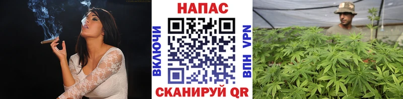 Конопля ГИДРОПОН Новоаннинский